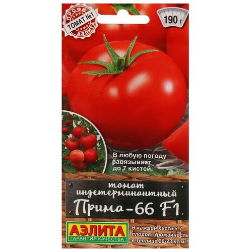 ���� ����� 