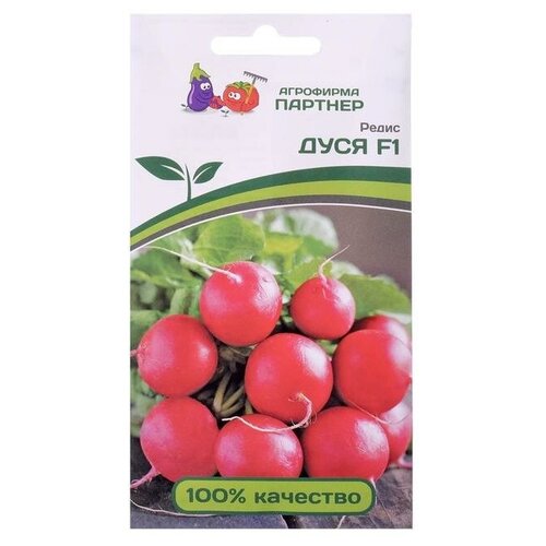 ���� ����� ���� F1 1� �������