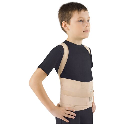 ���� ��������� ������ ������� �� 110 ���. Orto ���� �������, ������ L