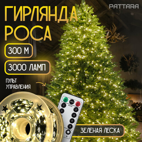 ���� �������� ���� ������������ �� ���� ������� ���������� 300 �, 3000 ����, ������� �����