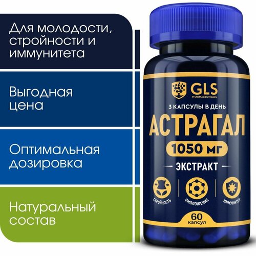 ���� �������� ������������ (�������� ������), �������� / ��� ��� ���������, ��������� � ����������, 60 ������