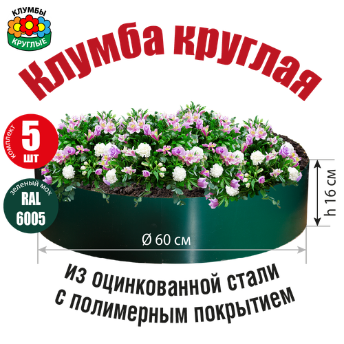 ���� ������ ������� ������� �� ������������ ����� � ���������� ���������