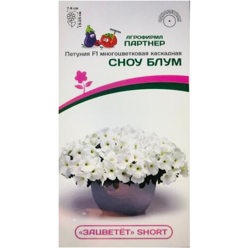 ���� ������ ������� ��������� �������������� 