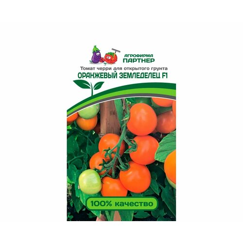 ���� ������ ����� 