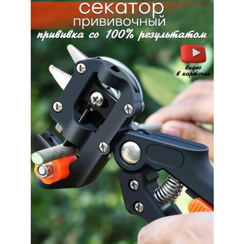 ���� ���������������� ����������� ������� ������� ��� �������� ��������� �������� � 3 �������������� ������ ��� ��������.