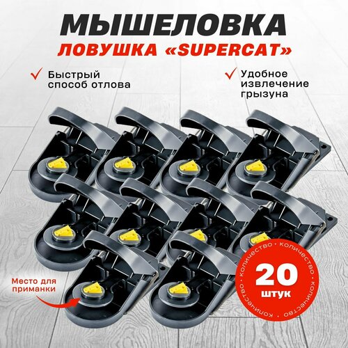 ���� ����������� ��������� SuperCat, 20 ��.