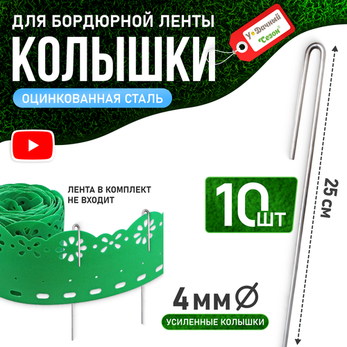 ���� �������-����� ��� ��������� ��������� �����, 25��, ����� 10��