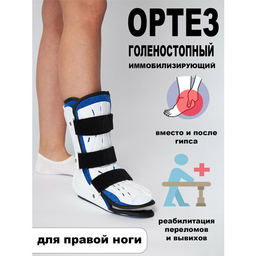 ���� ����� �� ������������� ������ �������, ������ ����������������� ��� ����������� ��� �������, �������, ���������, ������ � �����������. L. ������