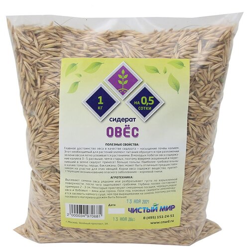 ���� ������� ���, 1 ��.