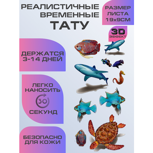 ���� ���� ���������� ��������������, ��������� ����