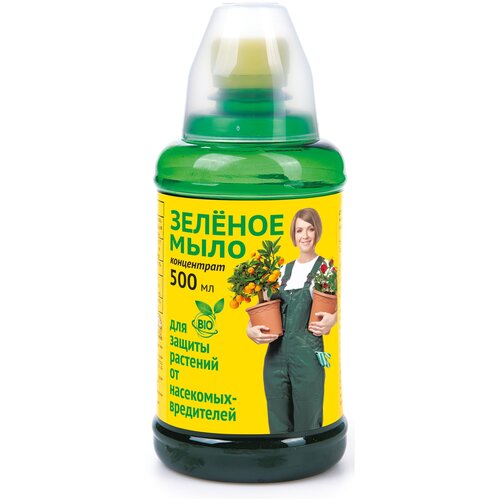 ���� ���� ��������� ������ �������� ���������� ������ ����, 500 ��, 500 �