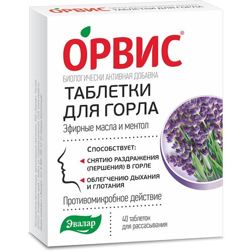 ���� ����� ���. �/������., 40 ��.