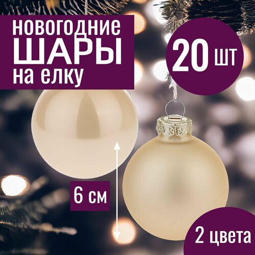 ���� ���� �� ���� ���������� 6�� ����� ������� ������� ������ 20 �� �������