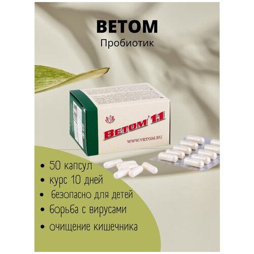 ���� ����� 1.1 (50 ������)/��������/ ����������