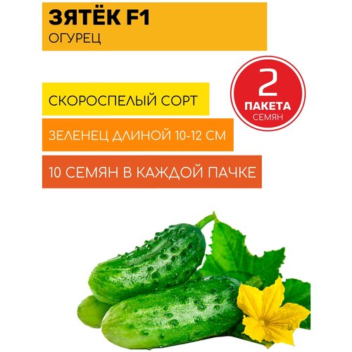 ���� ������ ����� F1 (10 �����)