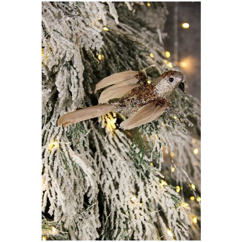 ���� ������� ������� ������ �� ���� 18��, �������