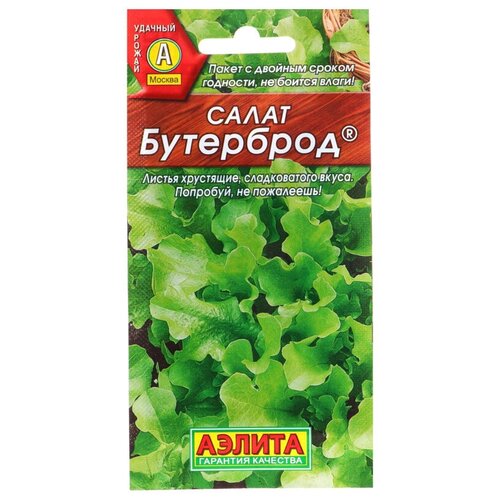 ���� ������ ����� 