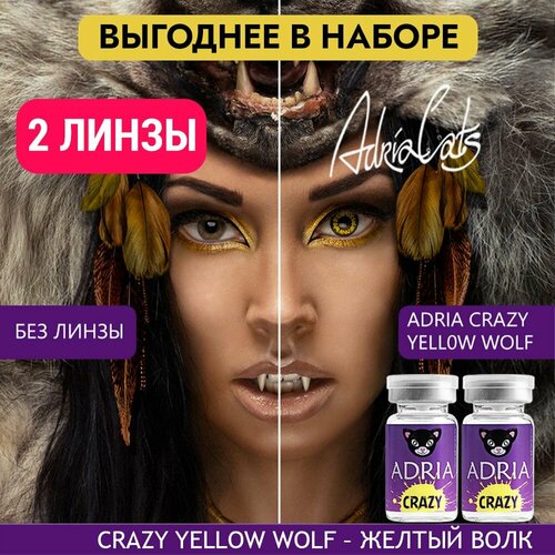     ADRIA Crazy, 2 ., R 8,6, D 0, yellow wolf, 2 .  -     , -  