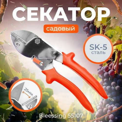 ���� ������� ������� Blessing 55107