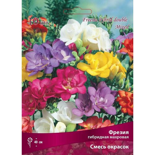 ���� �������� ������ �������� ��������� ����� 10 x 1 ��