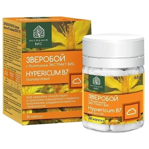 ���� �������� � �������� �������� ����., 175 ��, 32 �, 30 ��.