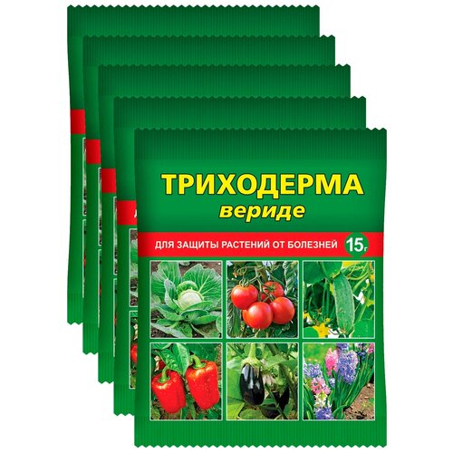 ���� ���������� ������ - ����������� ��� ������ �������� �� ��������, 5 ��. �� 15 �