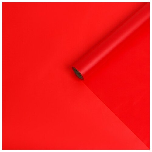 ���� ������ ����������� ����-���� 