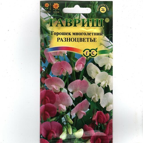 ���� ������. ������� ����������� 