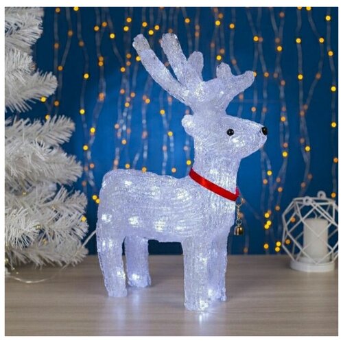 ���� ����� ������������ ���������� 40��