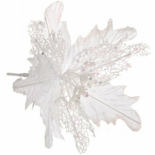 ���� ��������� ���������� �����������-��������� 23 ��, �����