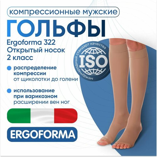     Ergoforma 322, 2 ,  , ,  4,   -     , -  