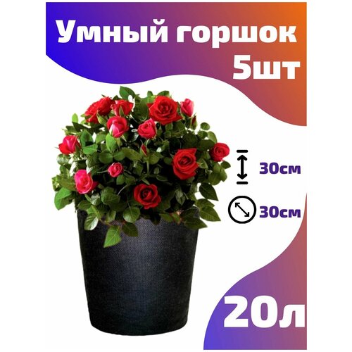      , ,  Smart Pot - 20  5 .  -     , -,   