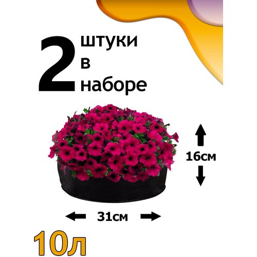���� ������ ���� 10� - 2��