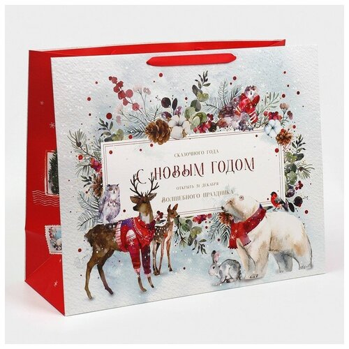 ���� ����� �������������� �������������� �������� ������, XL 49 ? 40 ? 19 ��