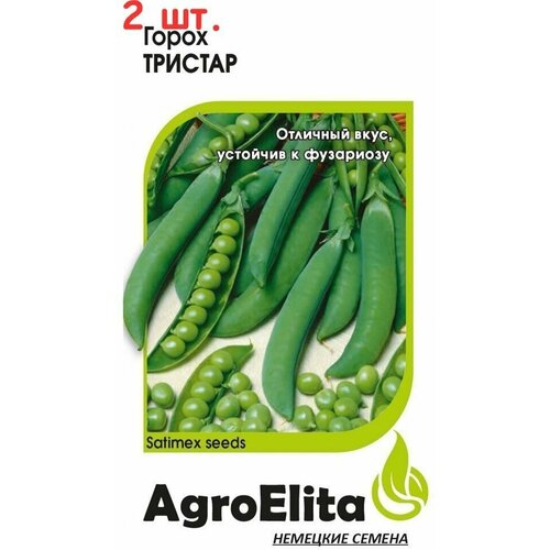 ���� ������. ����� 