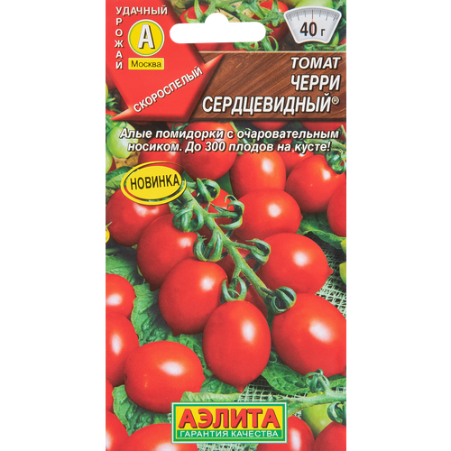 ���� ����� ����� ������������ 20 ��.