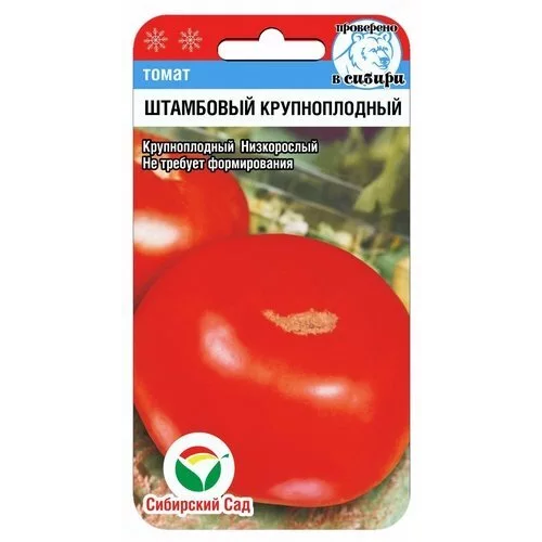 ���� ������ ����� ��������� ������������� 20�� ��� (��������� ���)