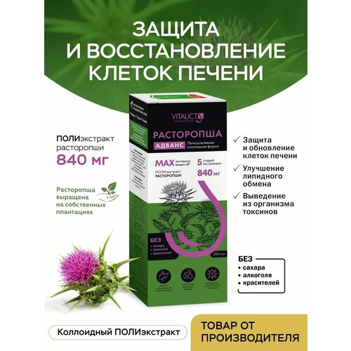 ���� ���������� ������ ������� 250 ��, ������ ������