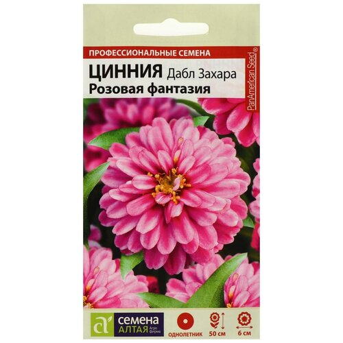 ���� ������ ������ ����� ������ ���� ������ ������� ��������, 6 ��