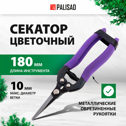    PALISAD 60554 180  -     , -  