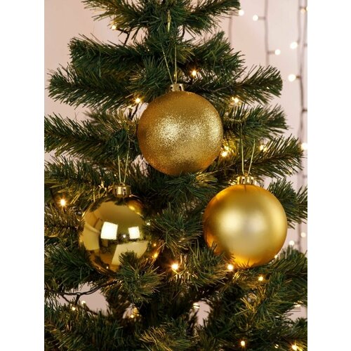 ���� ������� ��������� ����� ������� ����� ������� 12 ��