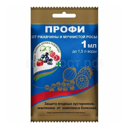 ���� �������� ������ �������� �����, ��������, �� ��������� ��� � ��������, 1 ��