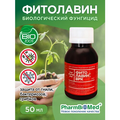 ���� �������� ���������, ���