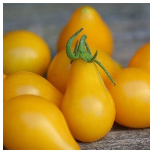     (. Tomato Yellow Pear)  10