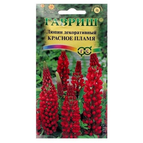 ���� ������ ������ ����� 