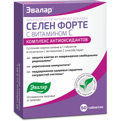 ���� ����� ����� � ��������� C ���., 60 ��.