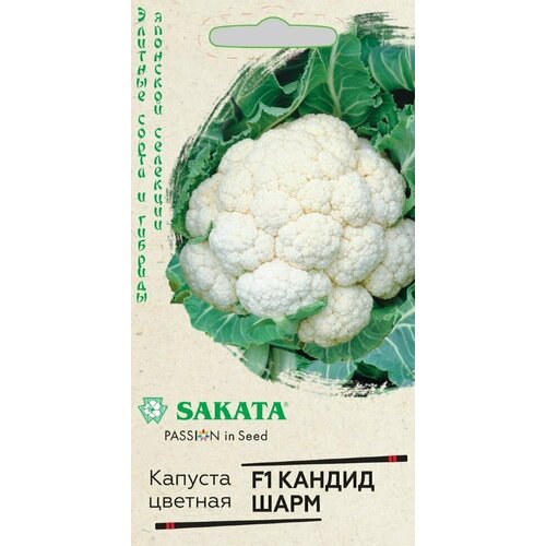 ���� ������ ������� ������� ������ ���� F1, 15��, ������, ������� ����� � �������, Sakata