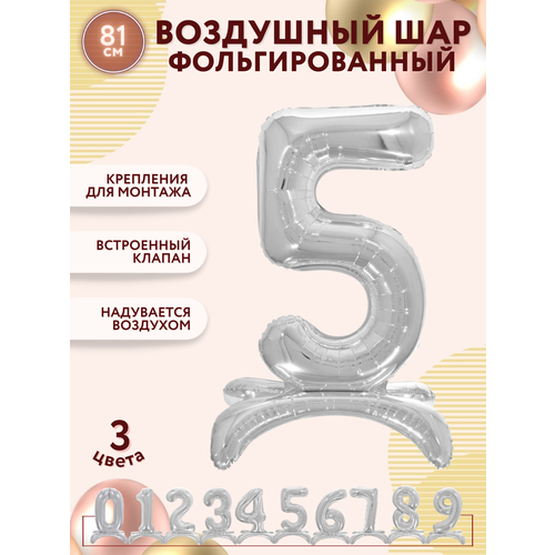 ���� ��������� ���� ����� 5 �� ��������� / ��� ����� 5 / ��� �������������� / ����� ���� / 81�� ������