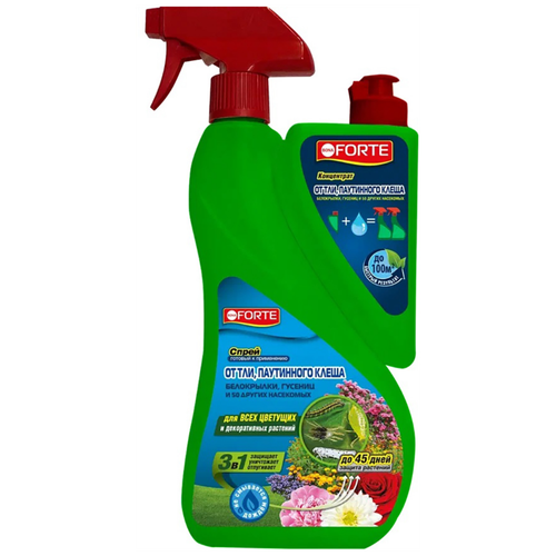 ���� BONA FORTE ����� � ���������� �� ���, ���������� ����� � ������ ���������, 1000 ��