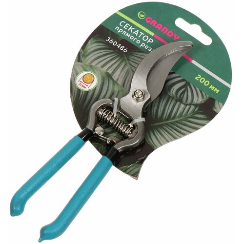 ���� ������� 200 ��, ������� ���� 25 ��, ������� ����, Grandy, �������� ������